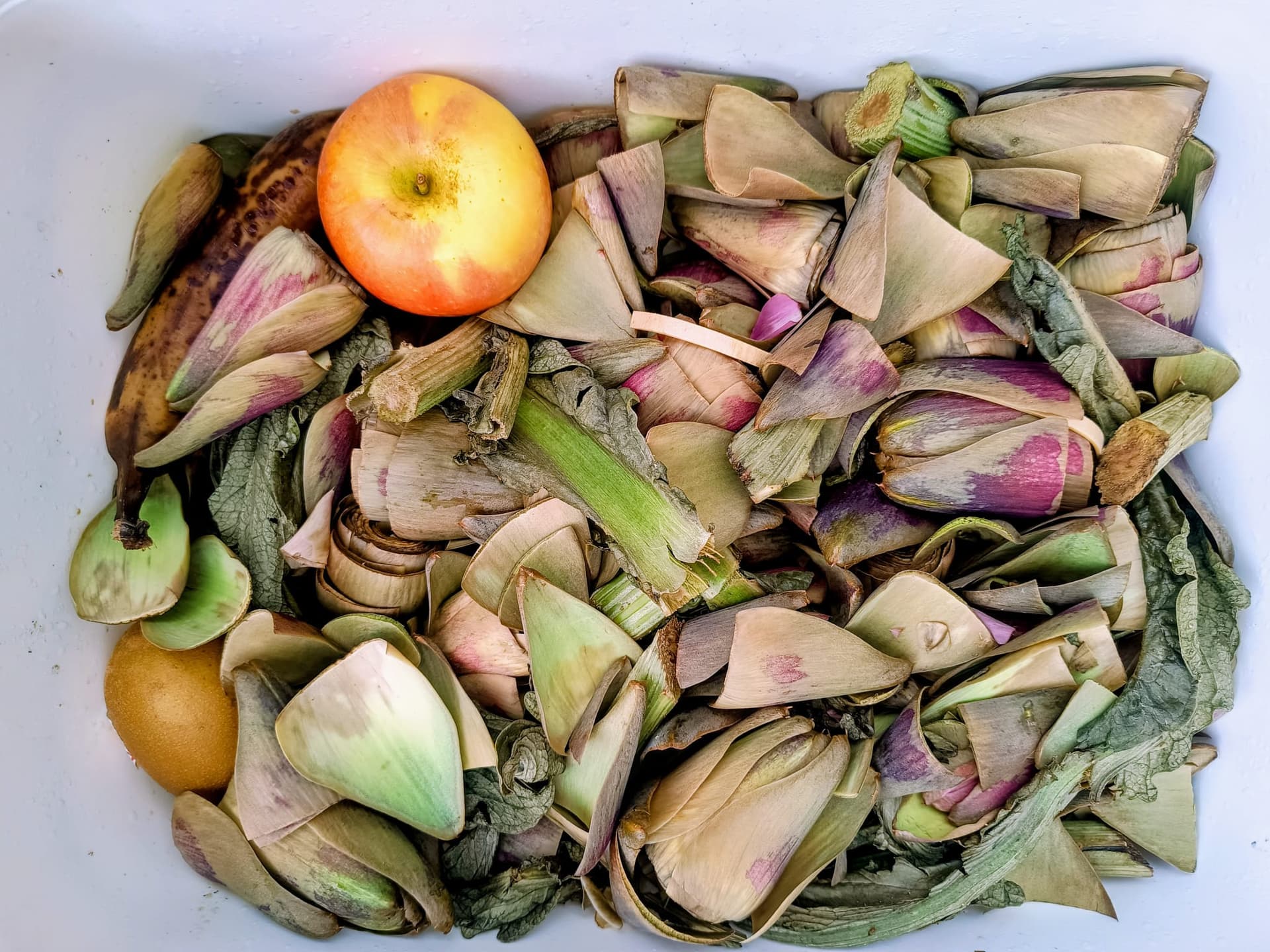 Bicyclair bakfiets rijdt door Gent voor keukenafvalinzameling