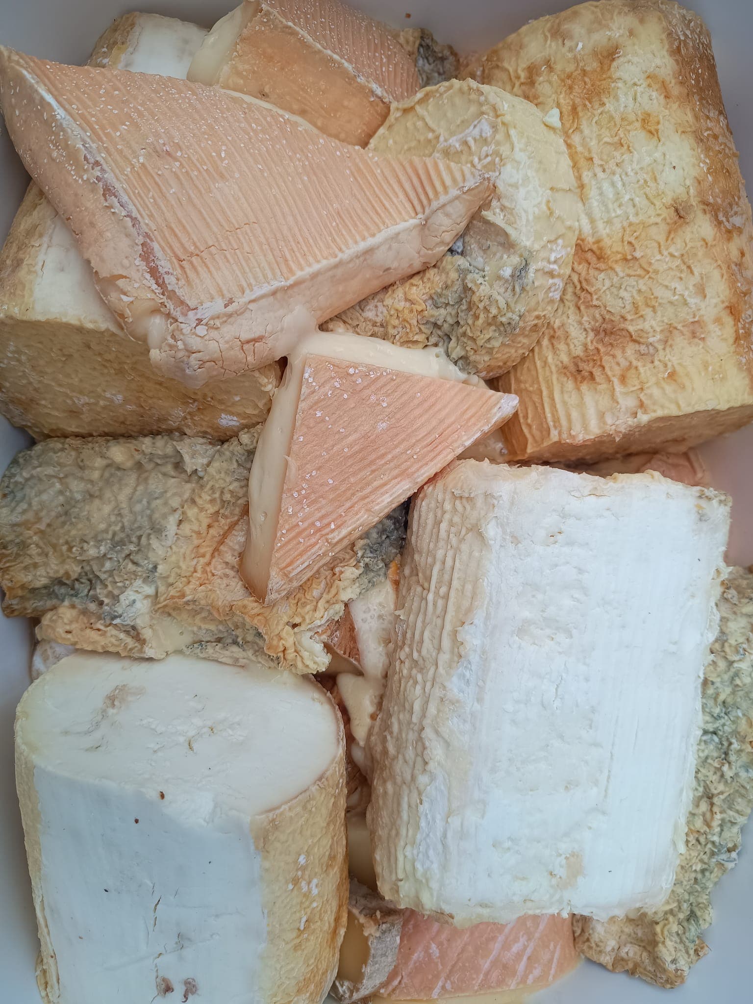 Keukenafval wordt opgehaald per bakfiets in Gent